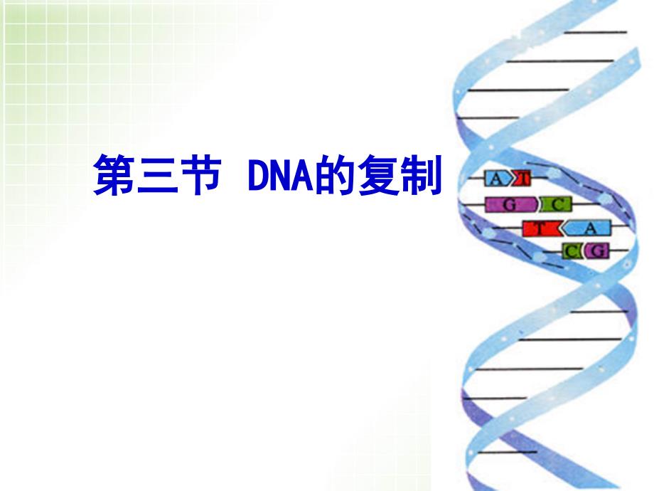 DNA的复制课件完美版ppt_第1页