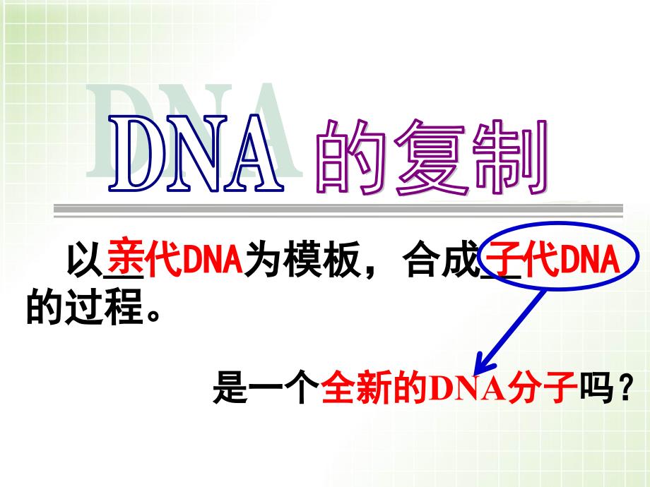 DNA的复制课件完美版ppt_第3页