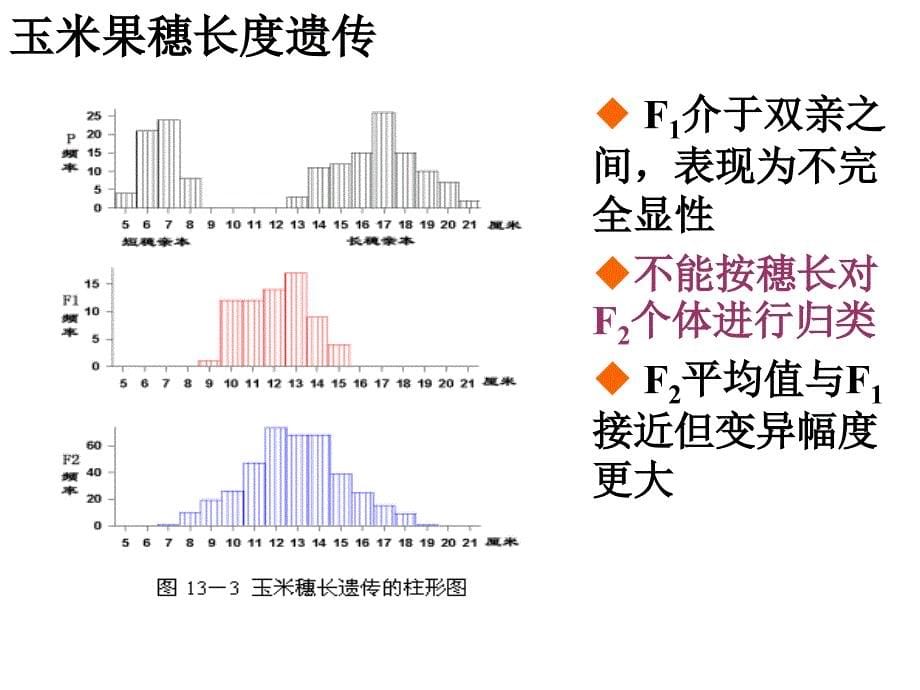 普通遗传学：第八章 数量性状的遗传_第5页