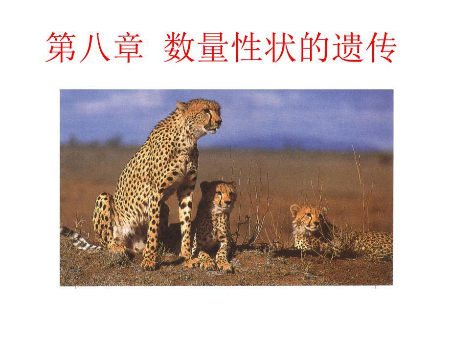 普通遗传学：第八章 数量性状的遗传