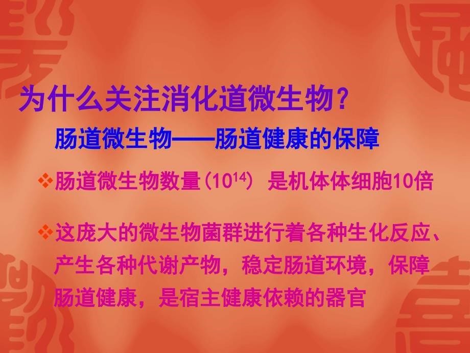 活菌中药微生态制剂对肠道健康的生态调控PPT课件_第5页