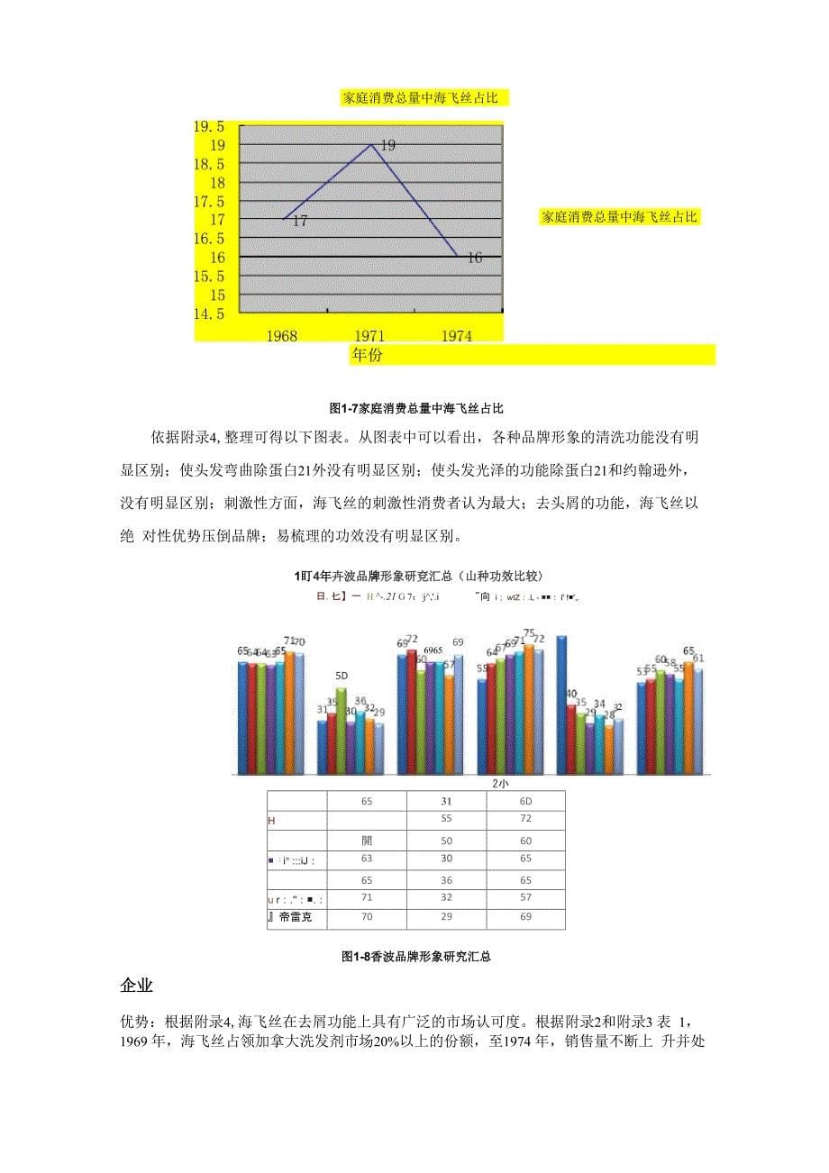 海飞丝案例分析_第5页