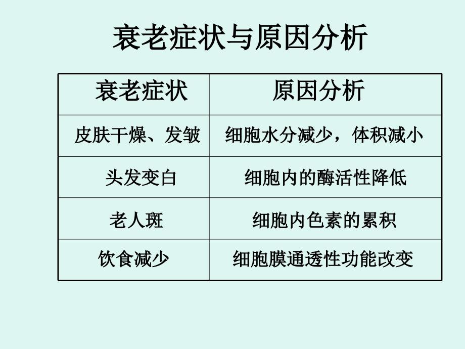 《细胞衰老及凋亡》PPT课件_第2页