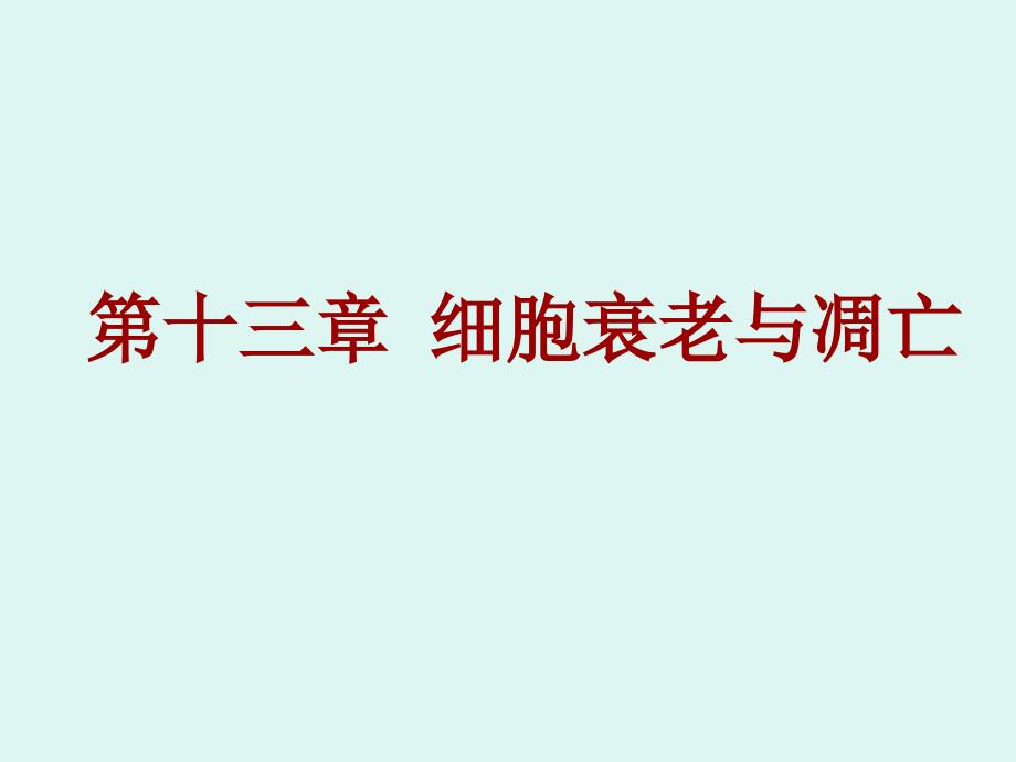 《细胞衰老及凋亡》PPT课件_第3页