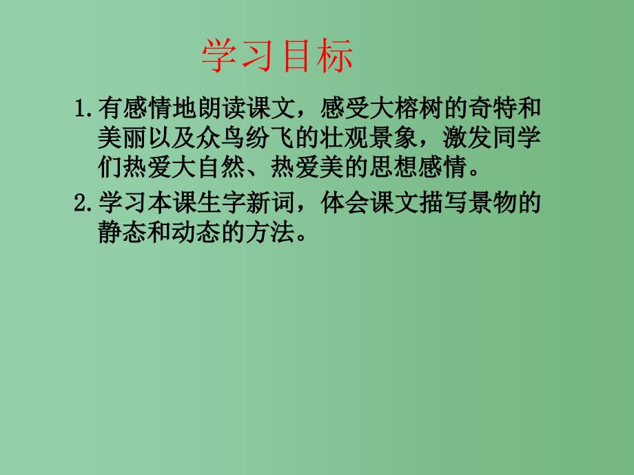 四年级语文下册第7单元25鸟的天堂课件3语文S版_第2页