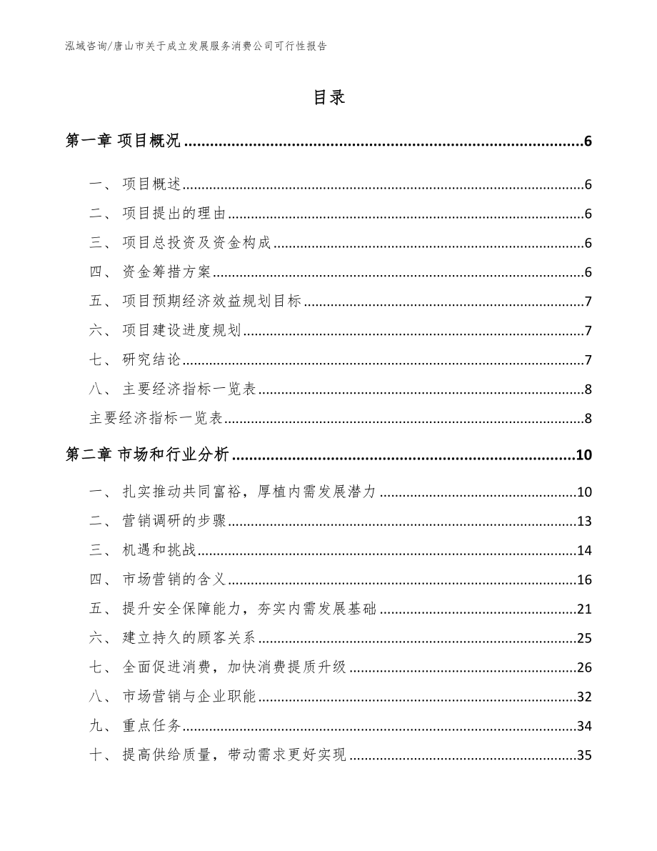 唐山市关于成立发展服务消费公司可行性报告_第2页