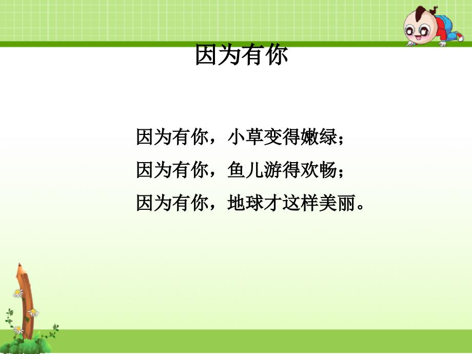 苏教版科学三年级上册课件：《生命离不开水》课件_第3页