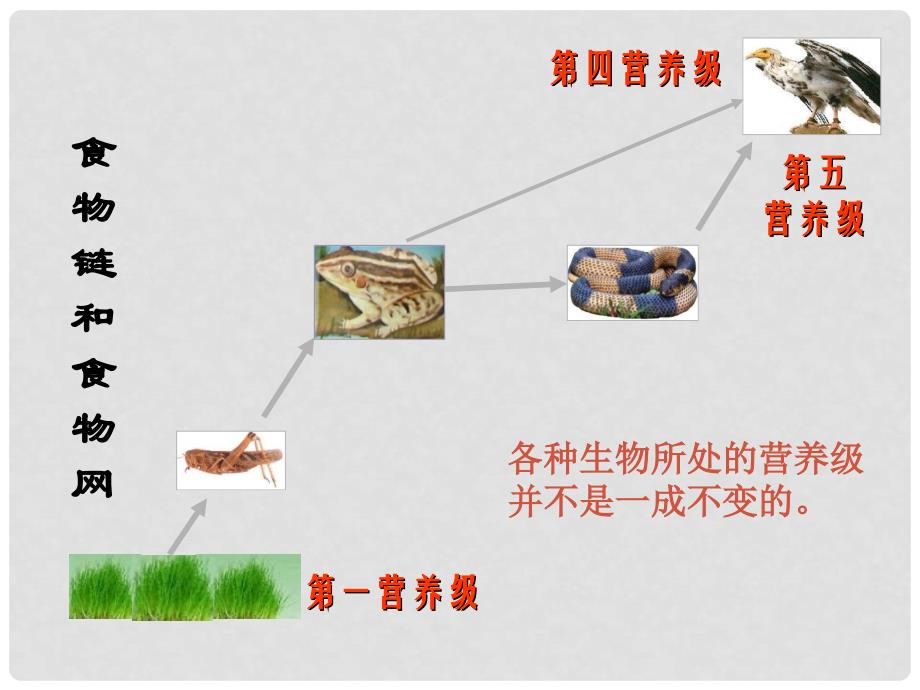 福建省建瓯市第二中学高中生物《51生态系统的结构》课件2 新人教版必修3_第3页