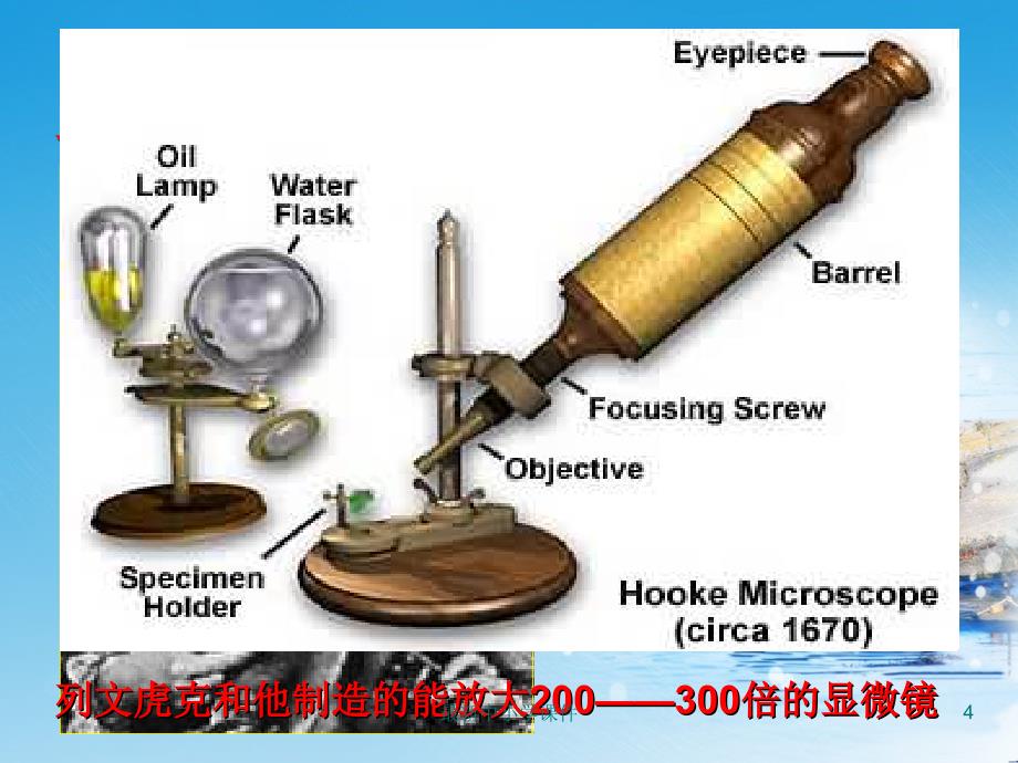 八年级生物上册5.4.2细菌ppt课件2新版新人教版_第4页