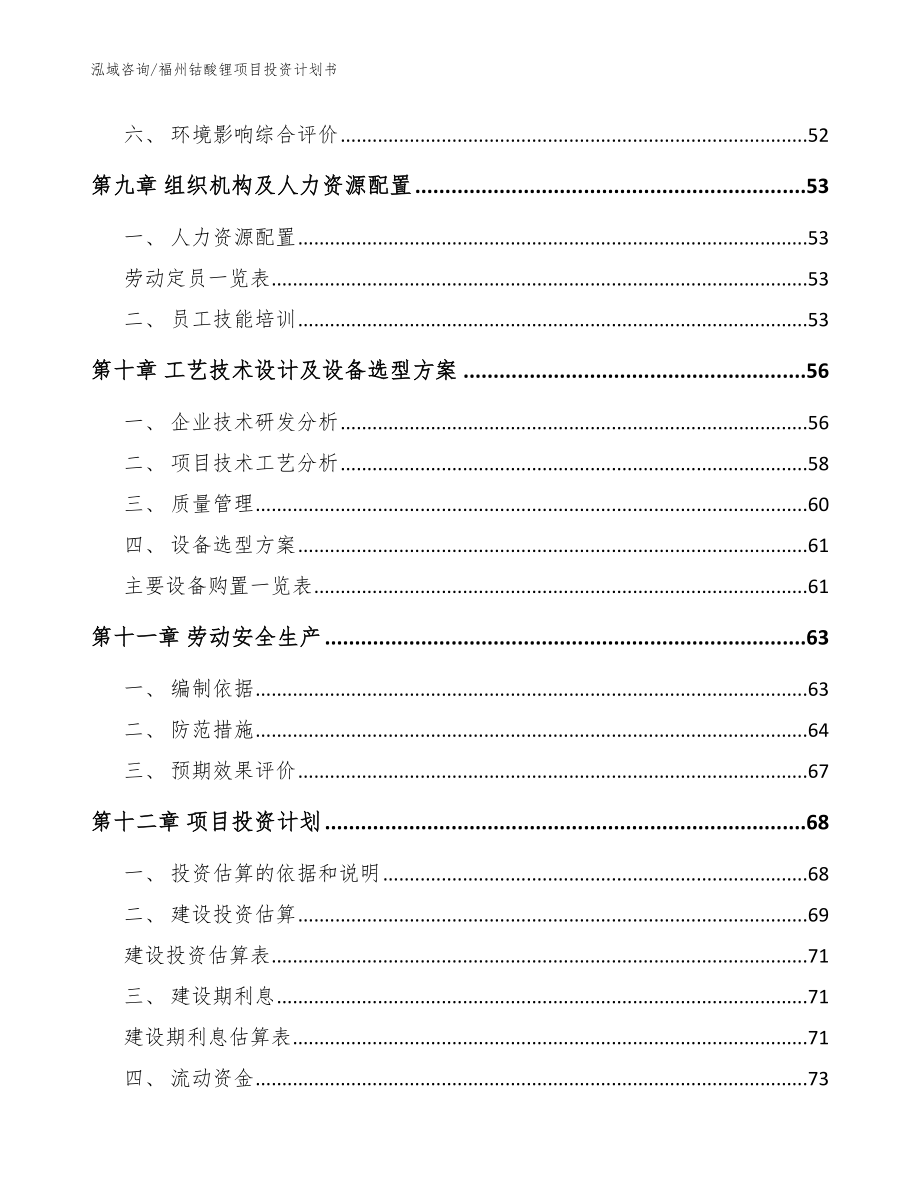 福州钴酸锂项目投资计划书范文_第3页