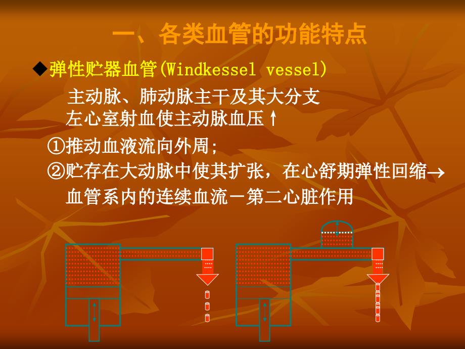 生理血液循环(精品PPT)课件_第3页