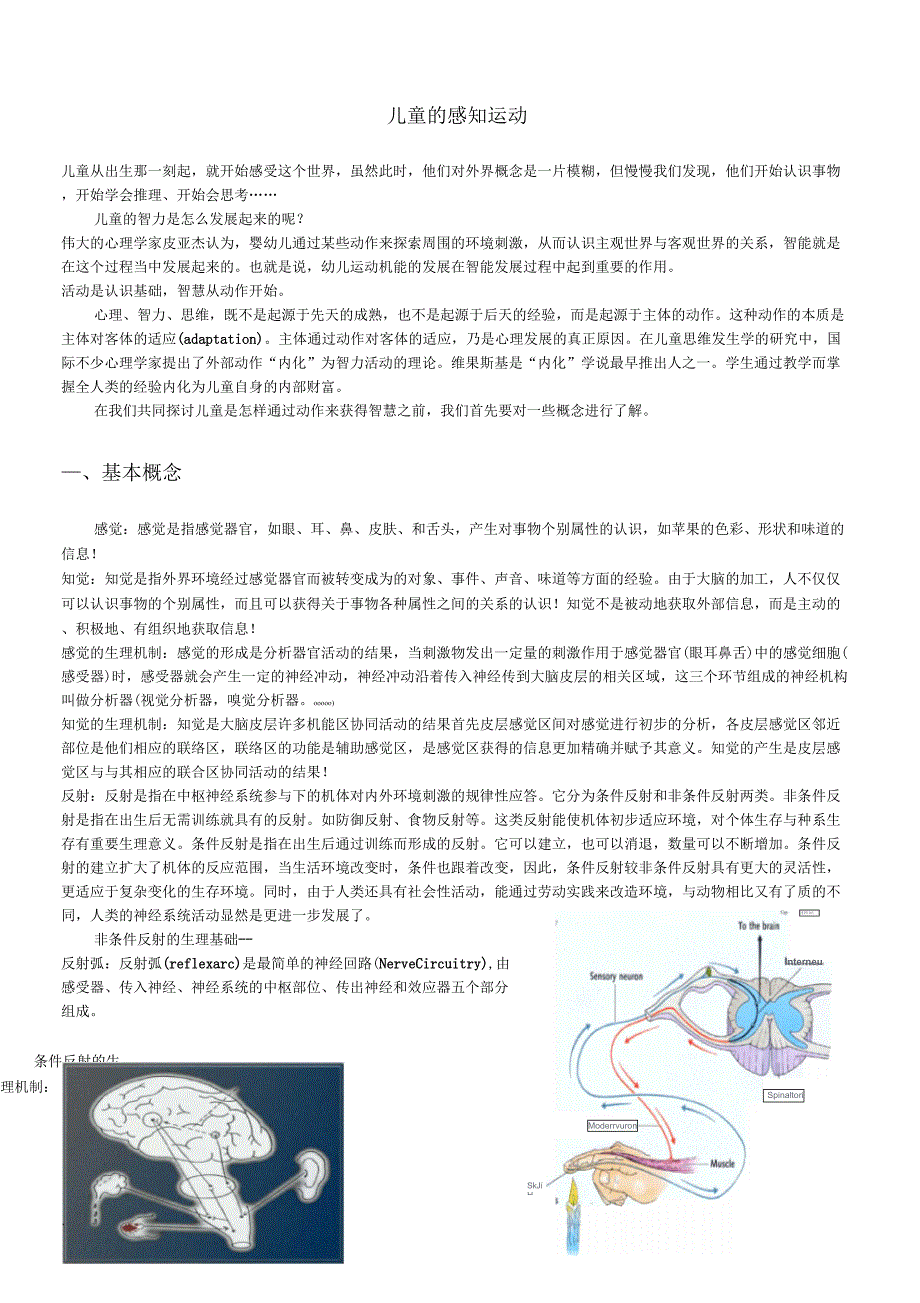 感知运动阶段详解_第1页