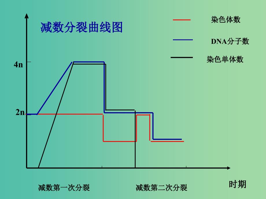 高中生物 2.1 减数分裂课件2 新人教版必修.ppt_第4页