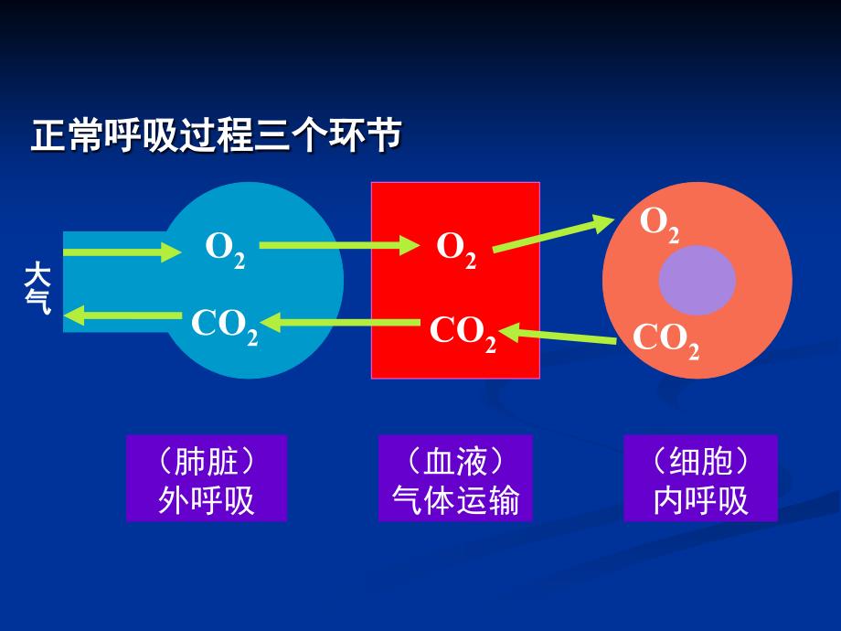 《呼吸衰竭的优秀》PPT课件.ppt_第3页