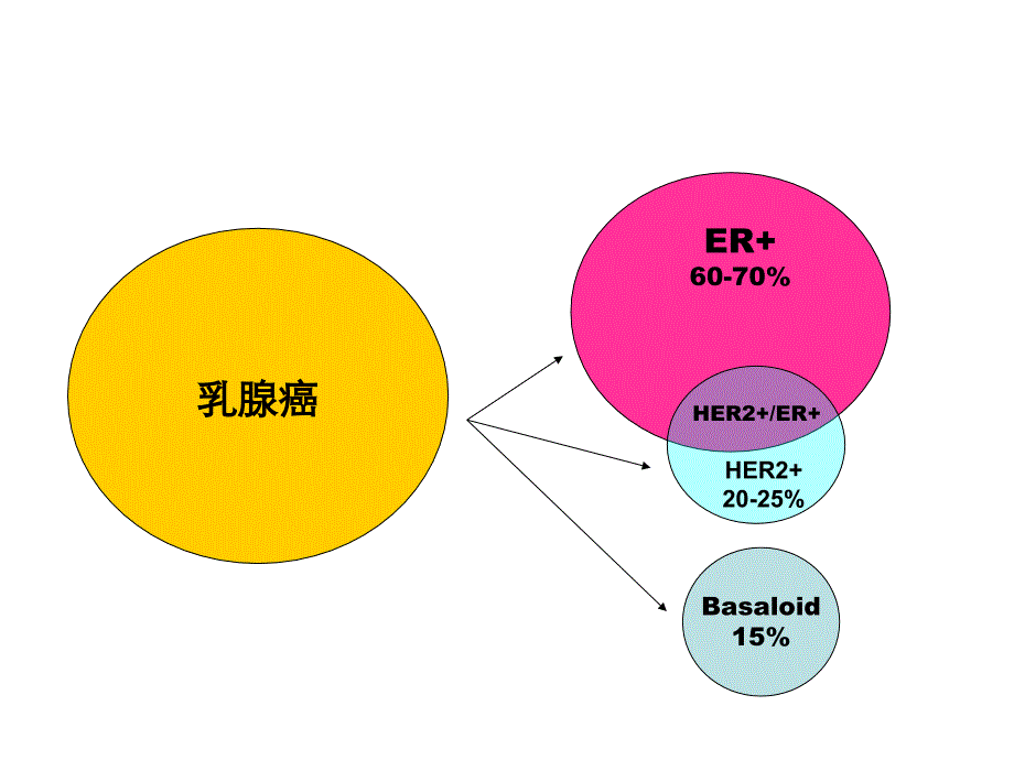 最新乳腺癌内分泌治疗精选PPT文档_第3页