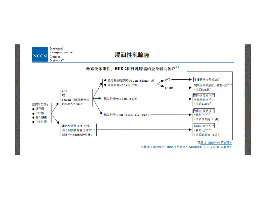 最新乳腺癌内分泌治疗精选PPT文档_第4页