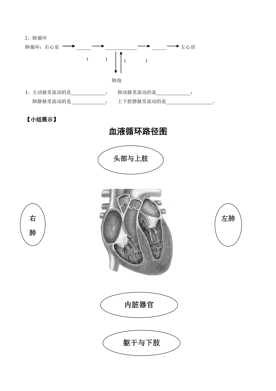 《血液循环》导学案.docx_第2页