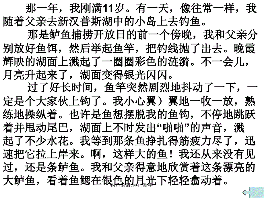 钓鱼的启示闫新宇课件_第4页