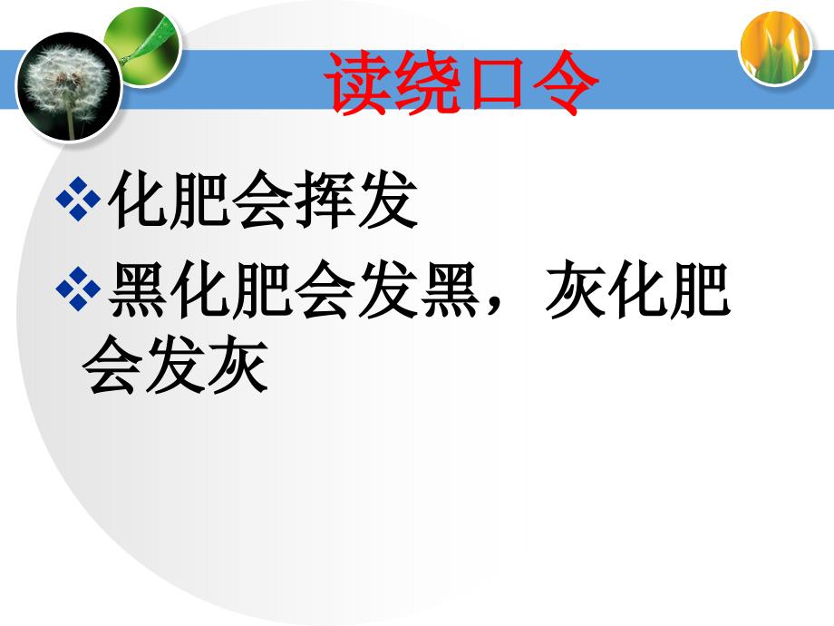 五年级上册科学课件1.3我们的大脑湘教版共35张PPT_第4页