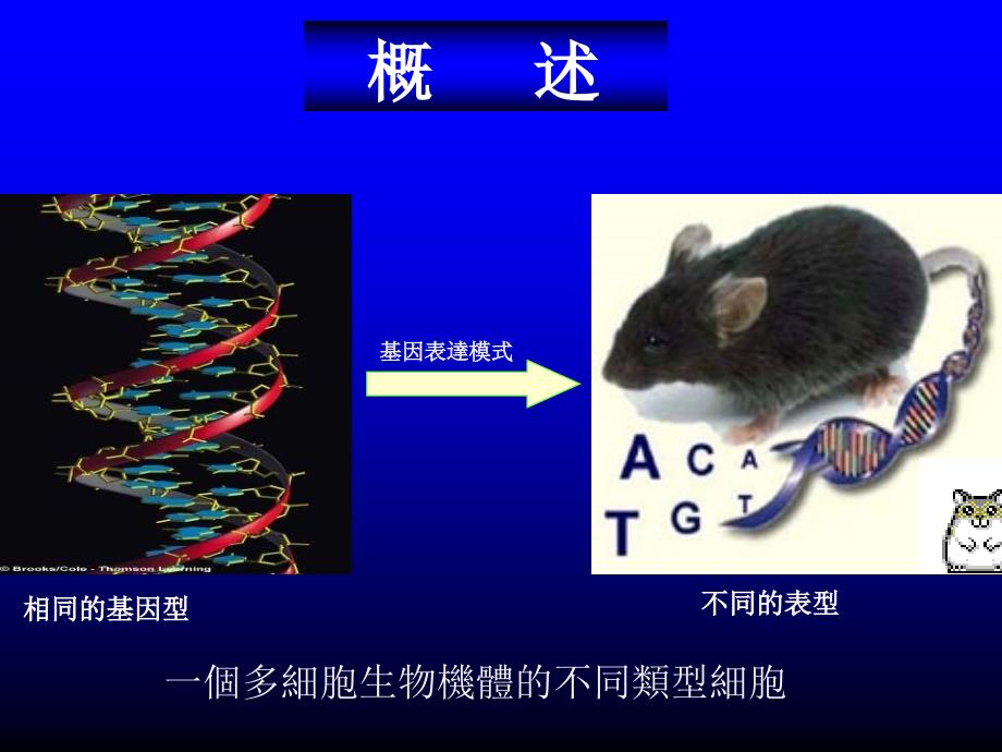 傅继梁同济大学医学与生命科学部_第3页