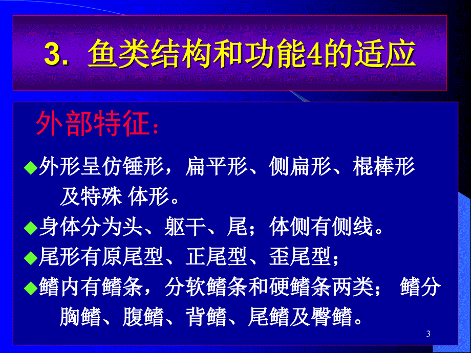 圆口纲西北师范大学_第3页