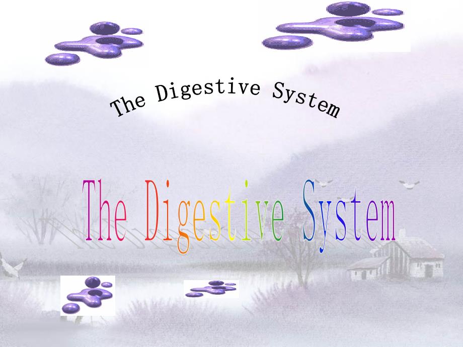 双语医学课件2-消化系统TheDigestiveSystem_第1页