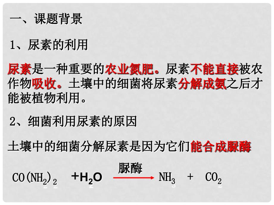 吉林省松原市扶余县第一中学高二生物 土壤中分解尿素的细菌的分离和计数课件_第2页