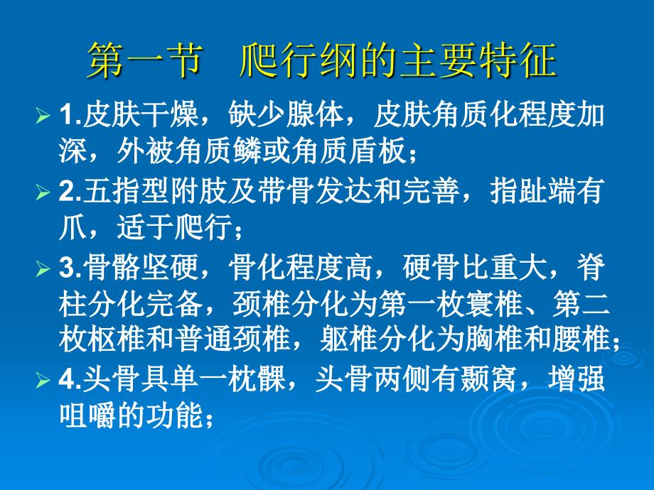 《爬行纲概述》PPT课件.ppt_第2页