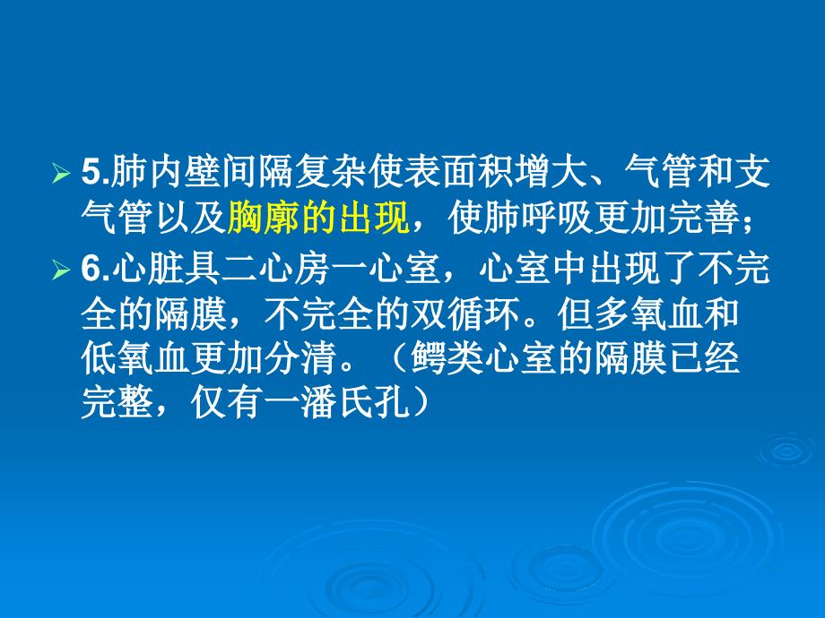 《爬行纲概述》PPT课件.ppt_第3页