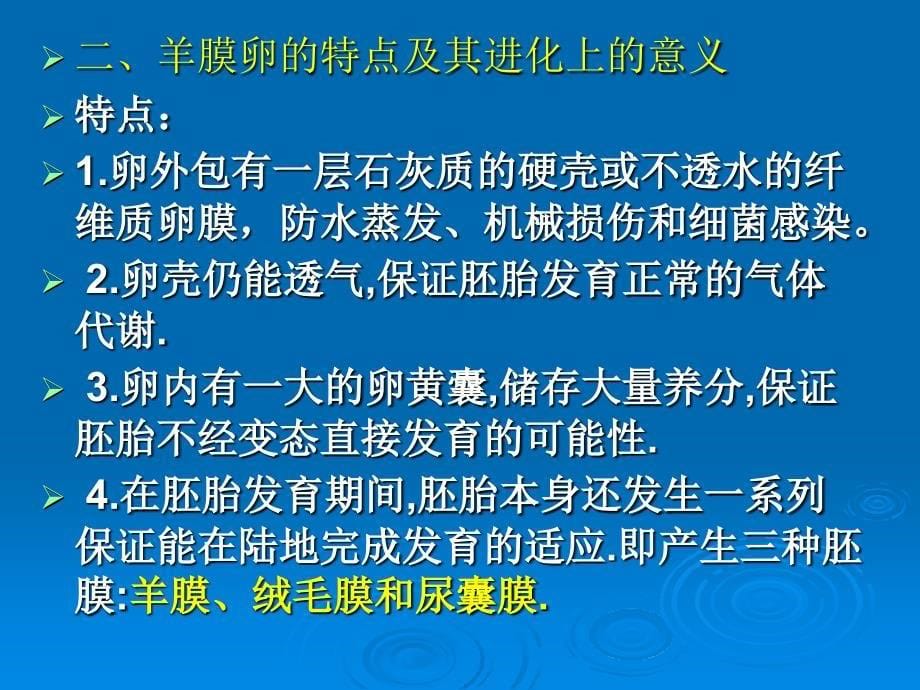 《爬行纲概述》PPT课件.ppt_第5页