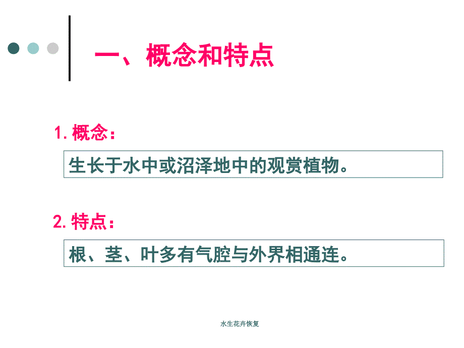 水生花卉恢复课件_第2页