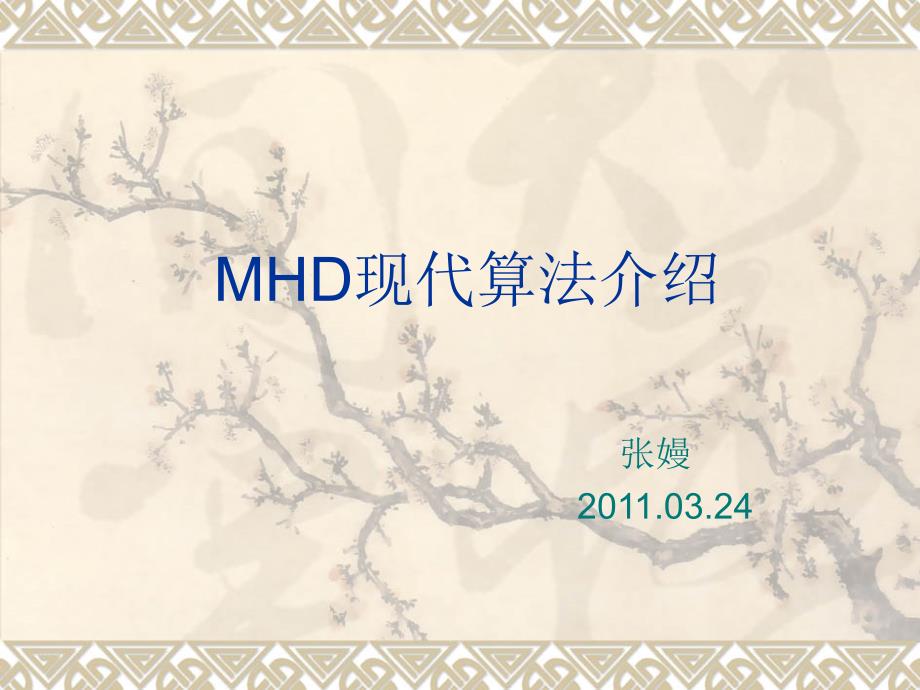 MHD现代算法介绍_第1页