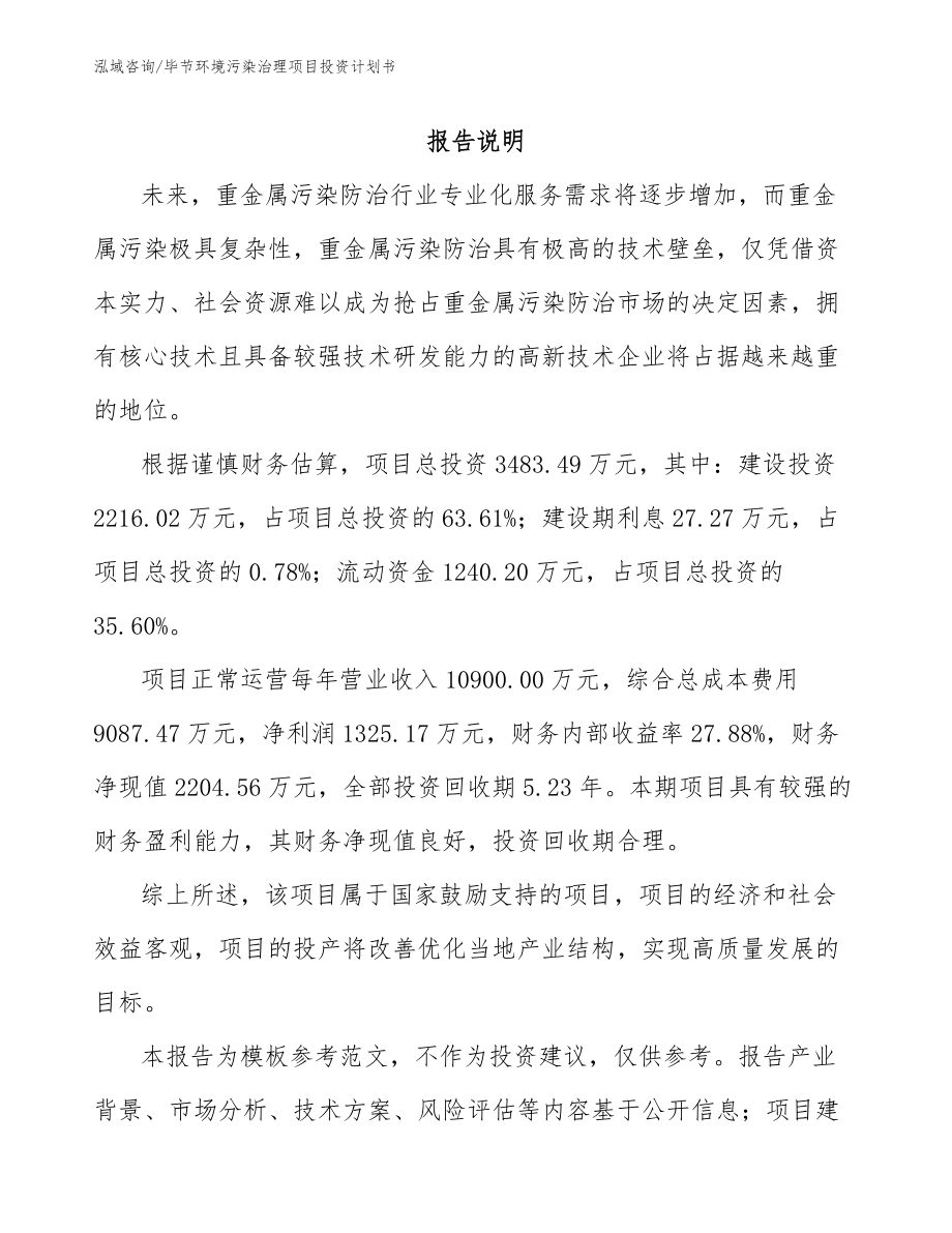 毕节环境污染治理项目投资计划书_第2页