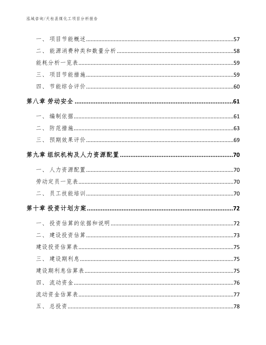 天柱县煤化工项目分析报告（范文模板）_第4页