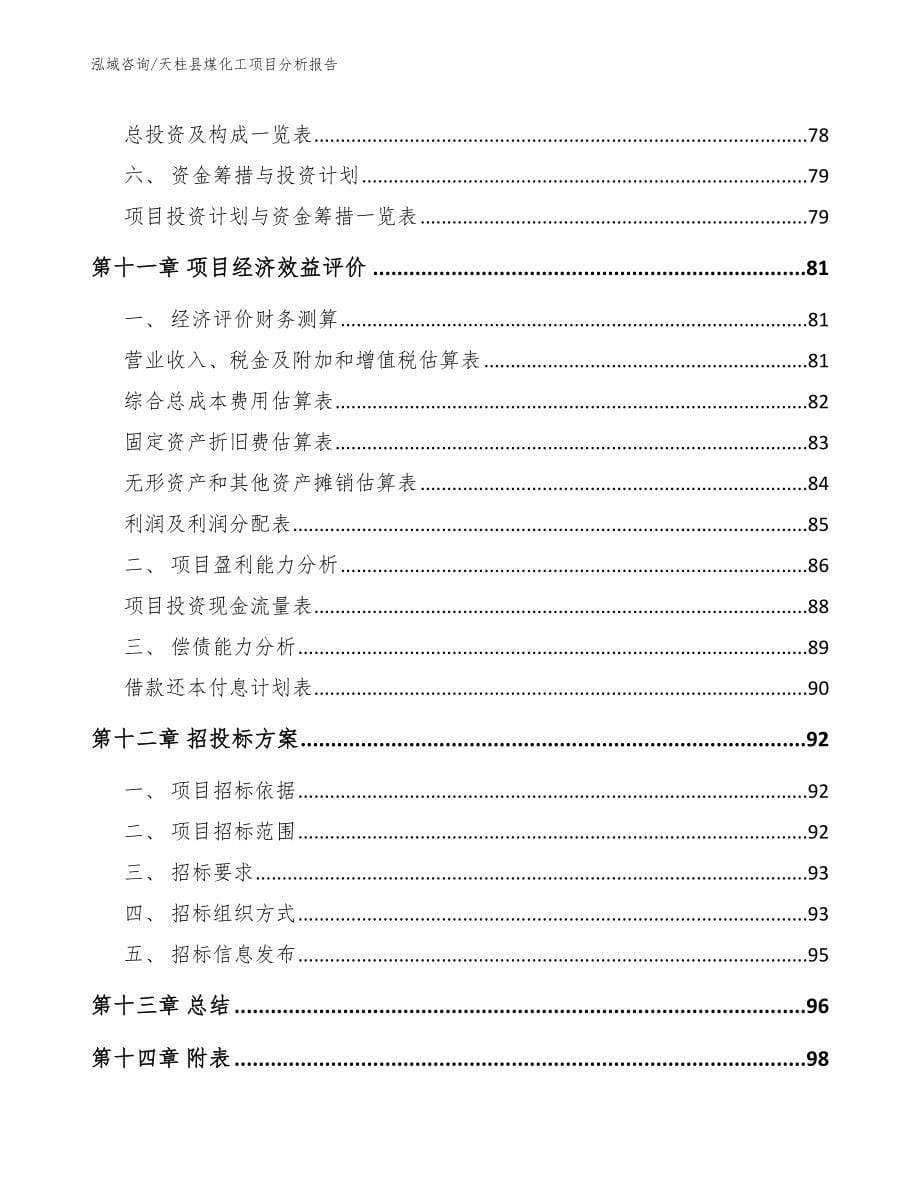 天柱县煤化工项目分析报告（范文模板）_第5页