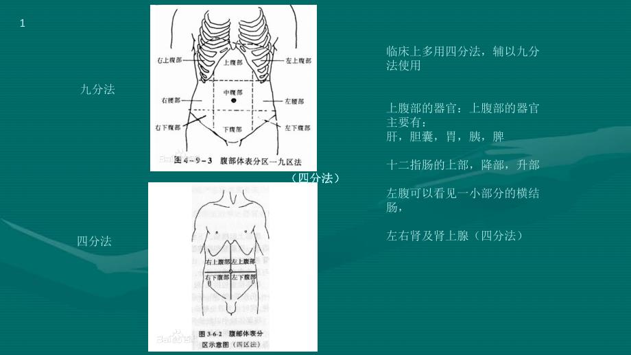 胆结石的隐患_第1页