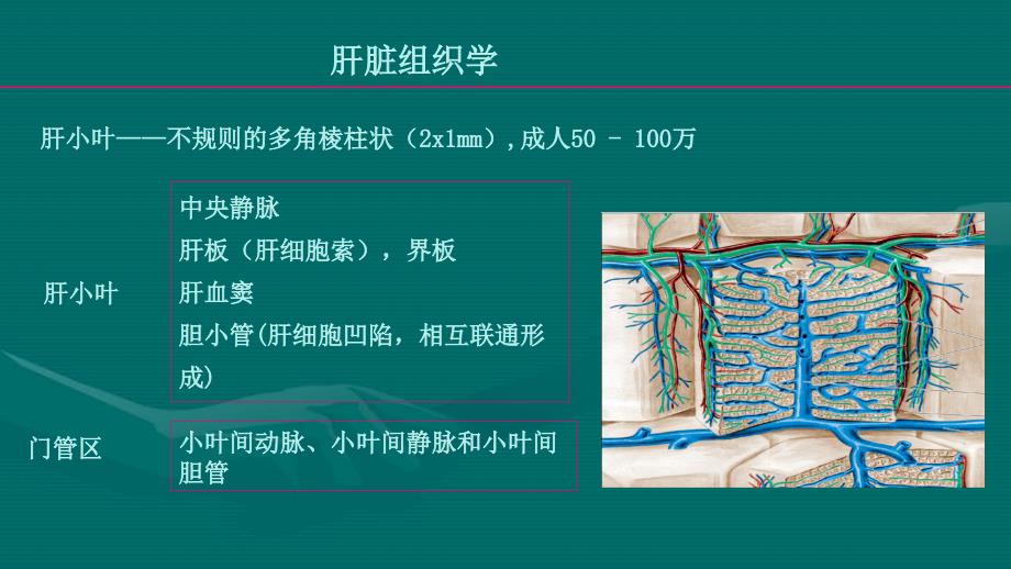 胆结石的隐患_第3页