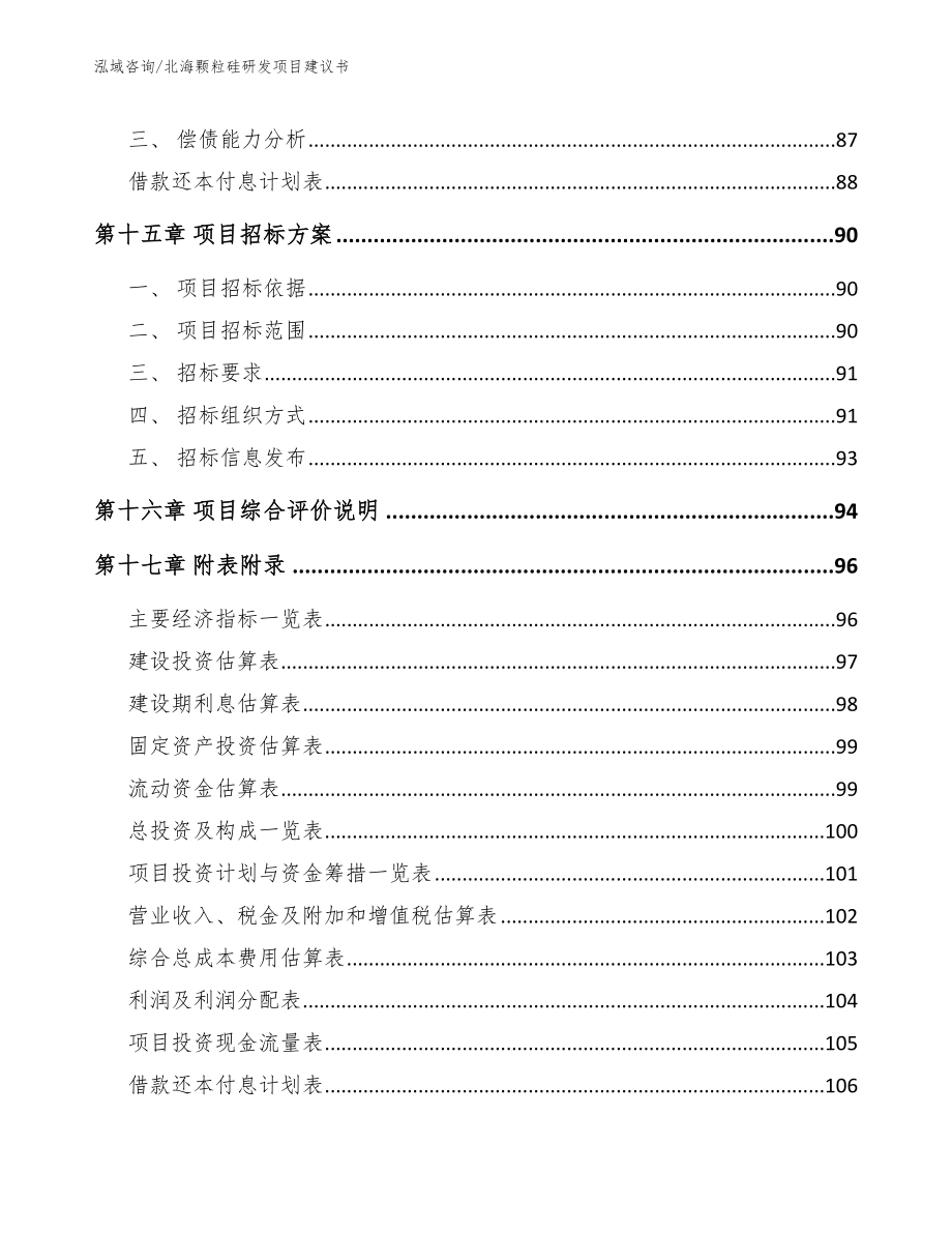 北海颗粒硅研发项目建议书【模板参考】_第5页