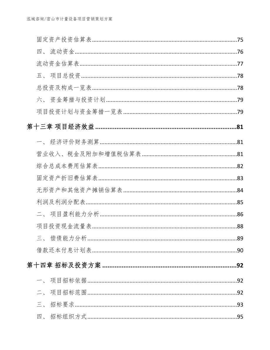 密山市计量设备项目营销策划参考范文_第5页