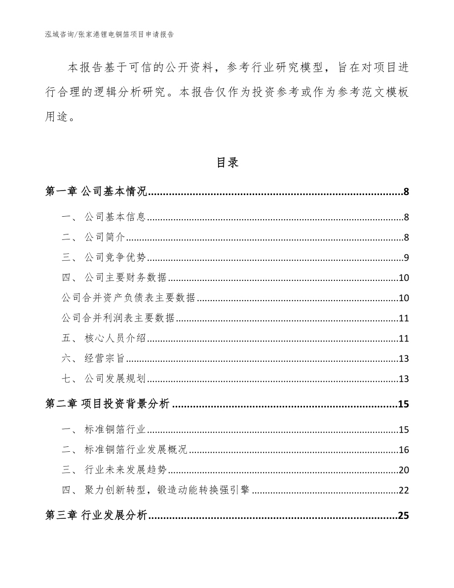 张家港锂电铜箔项目申请报告（模板）_第2页