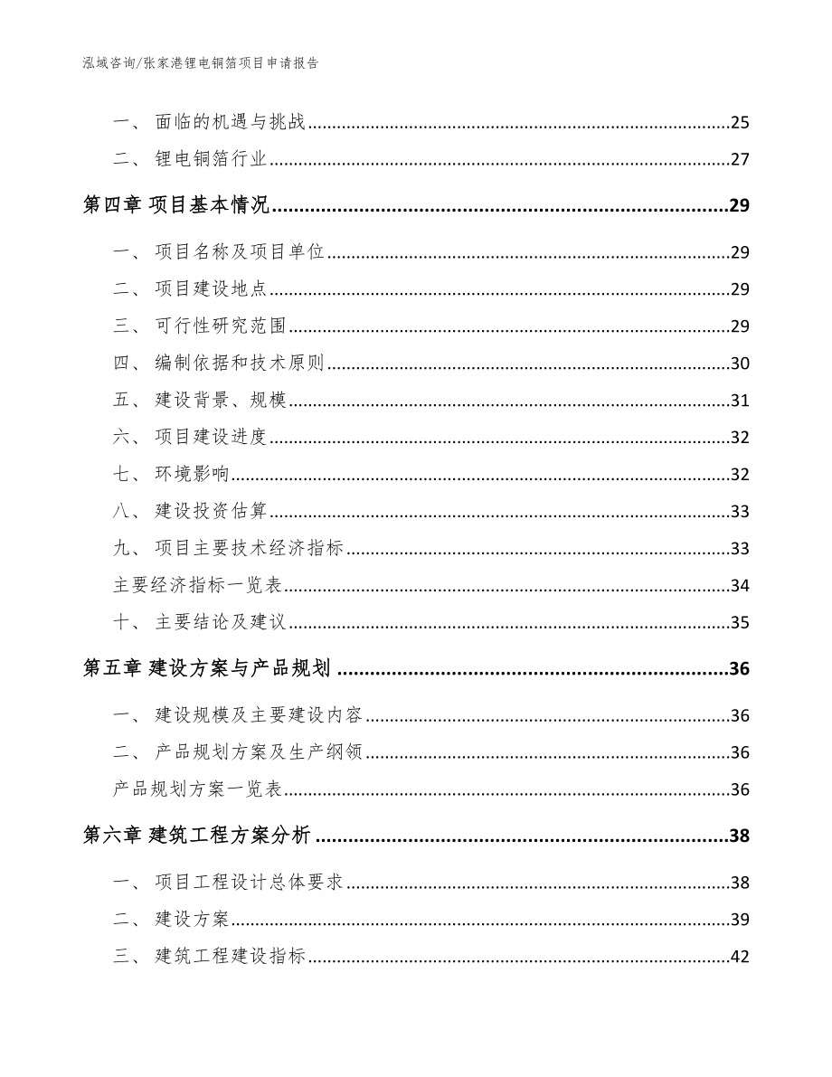 张家港锂电铜箔项目申请报告（模板）_第3页