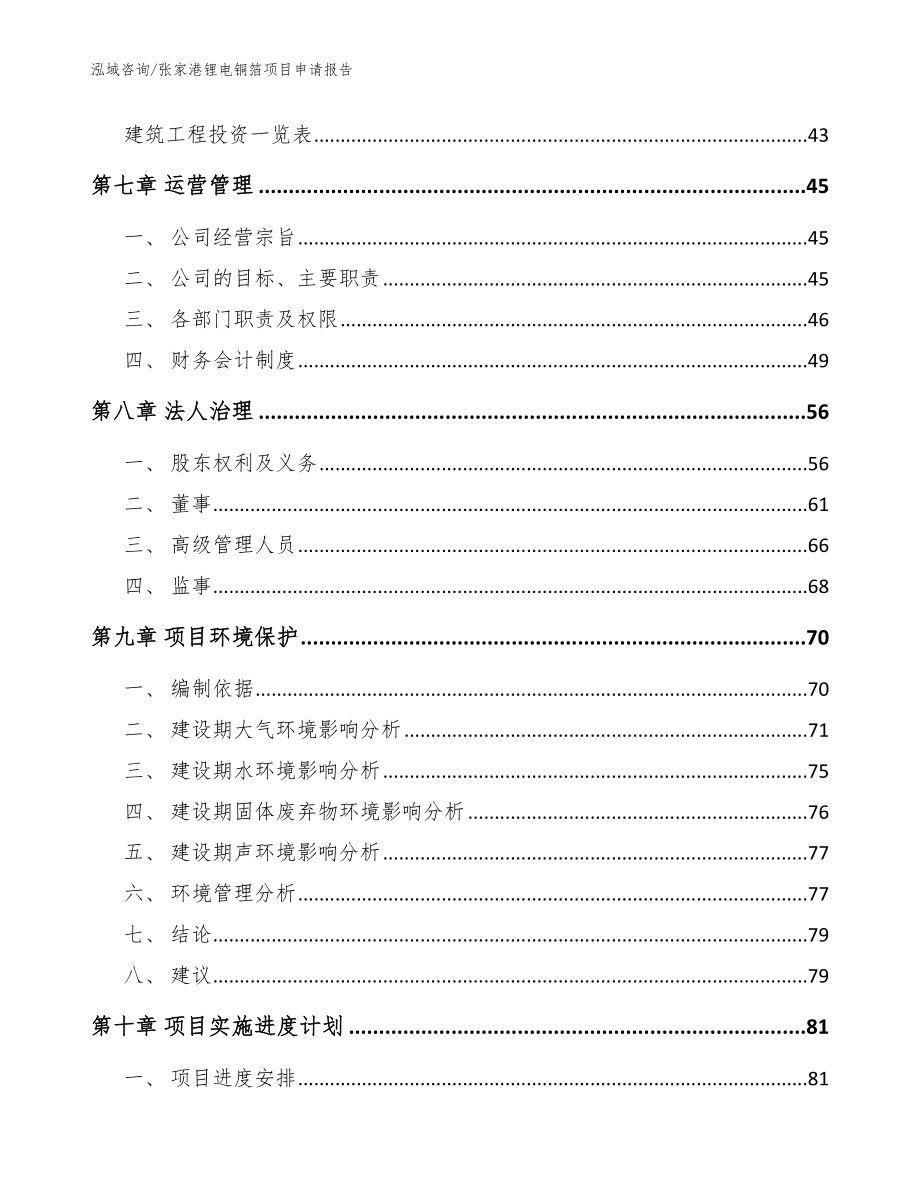 张家港锂电铜箔项目申请报告（模板）_第4页