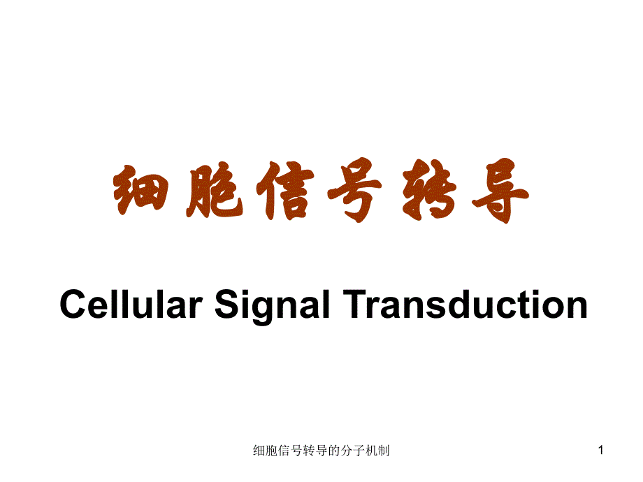 细胞信号转导的分子机制课件_第1页