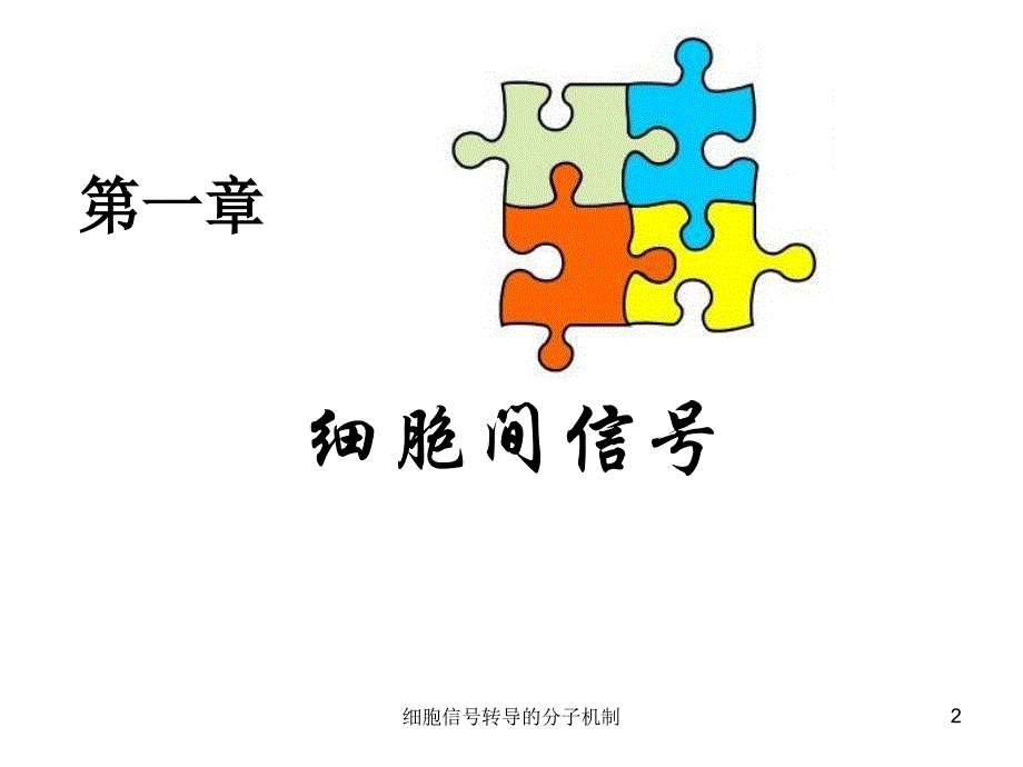 细胞信号转导的分子机制课件_第2页