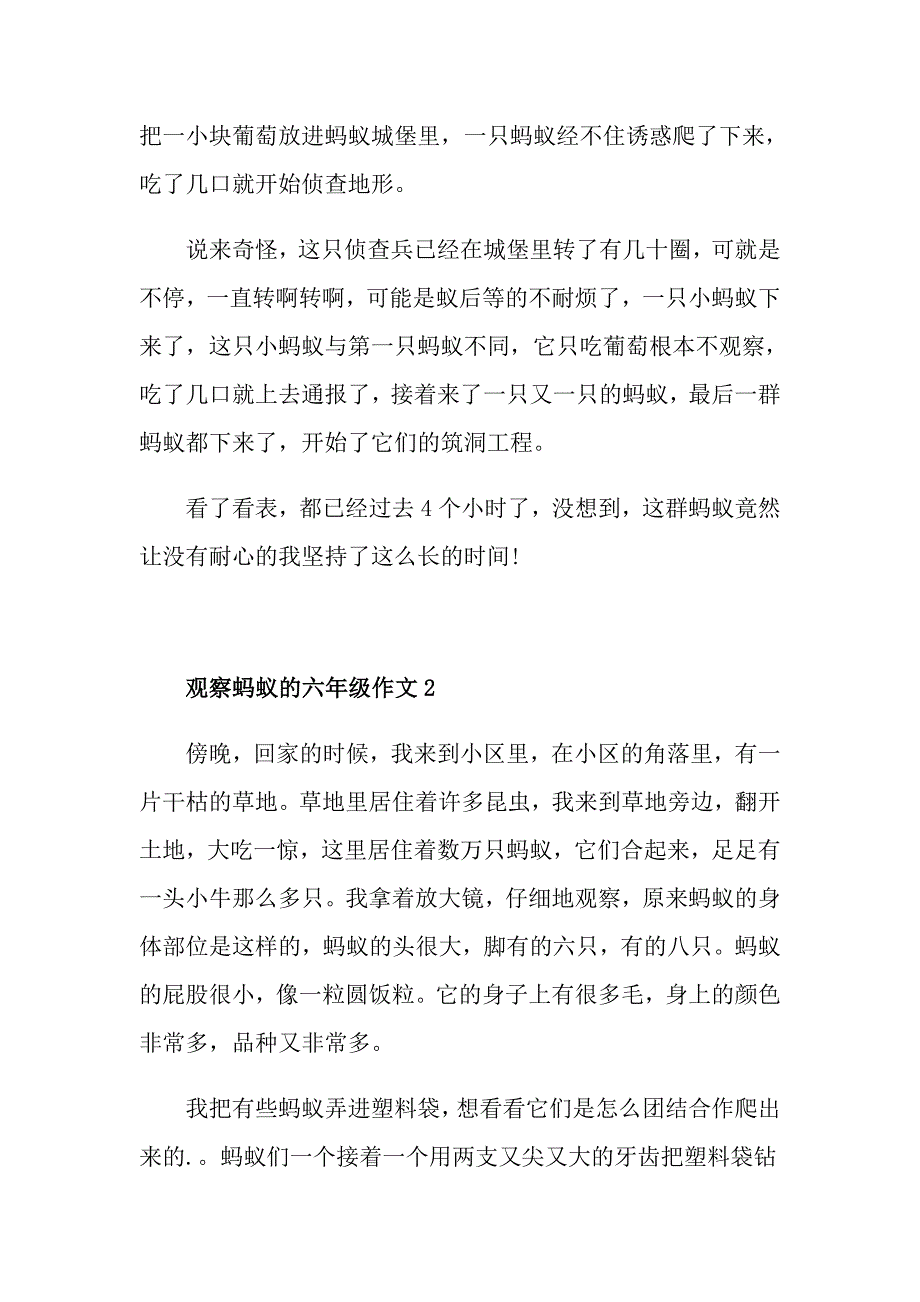 观察蚂蚁的作文500字六年级_第2页