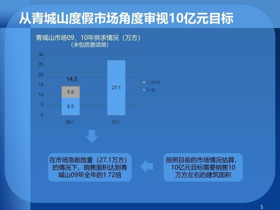 成都香颂湖国际社区营销报告105p_第5页