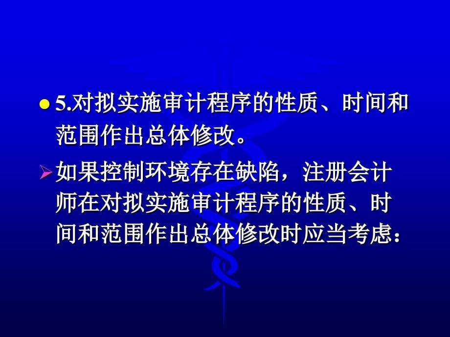 审记学：第十章 风险应对_第5页