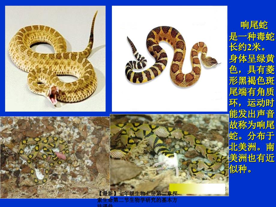 最新七年级生物上册第二章探索生命第二节生物学研究的基本方法课件_第2页