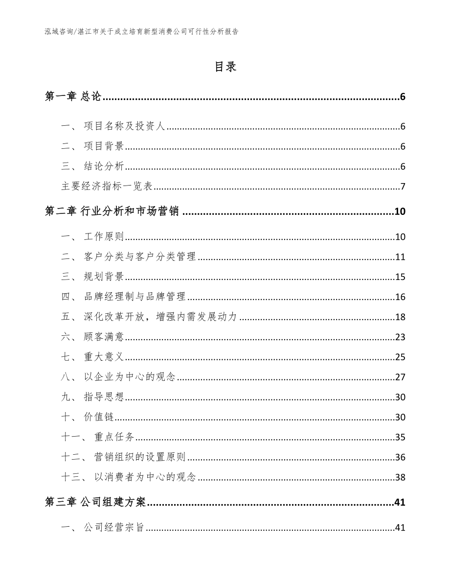 湛江市关于成立培育新型消费公司可行性分析报告_第1页