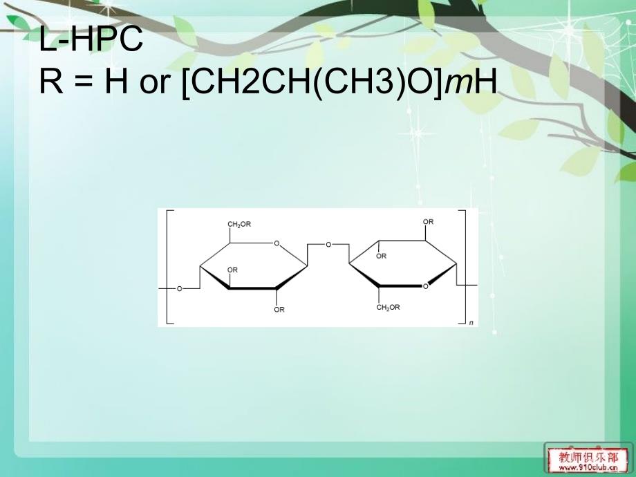 低取代羟丙纤维素.ppt_第2页